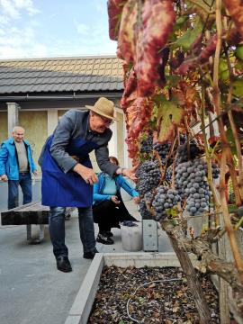 311901856_1317504245663395_542406817671824286_n