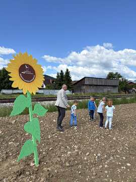 viber_image_2025-05-30_10-21-57-433